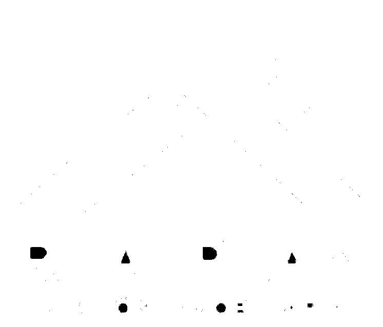 Real Plan